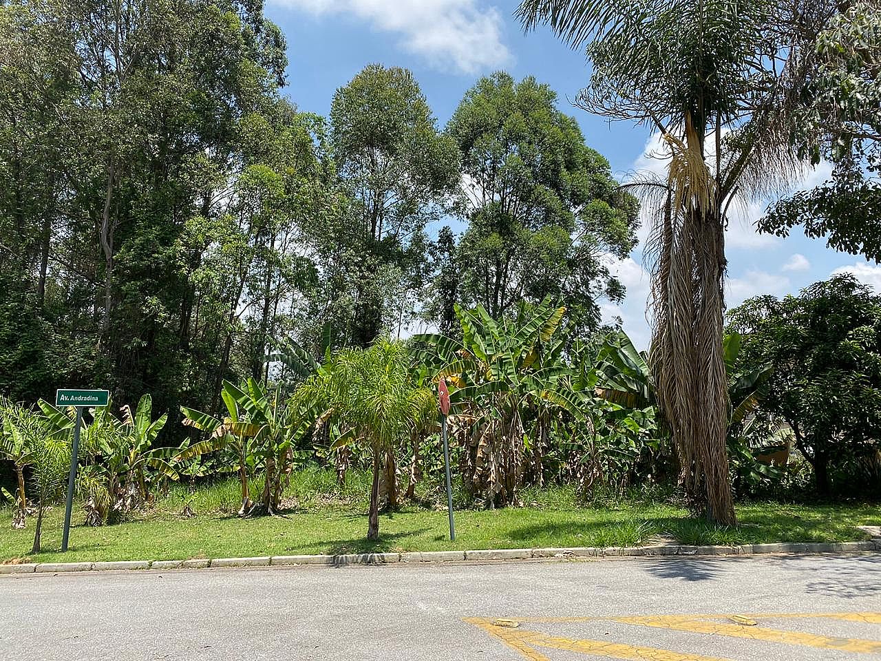 Terreno&nbsp;Barueri &nbsp;Tambor� &nbsp;Tambor� Residencial 1